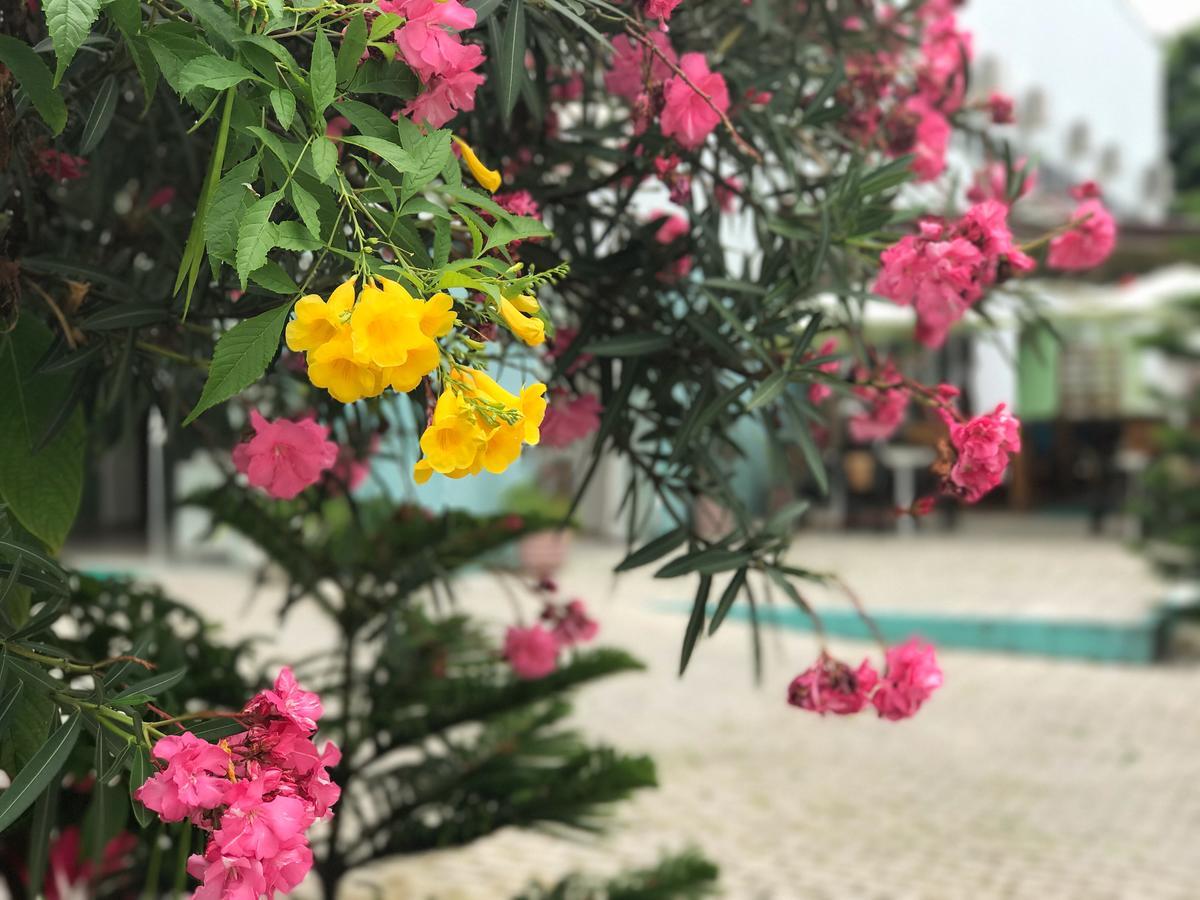 Scenarium Hotel Jaboatao dos Guararapes Zewnętrze zdjęcie