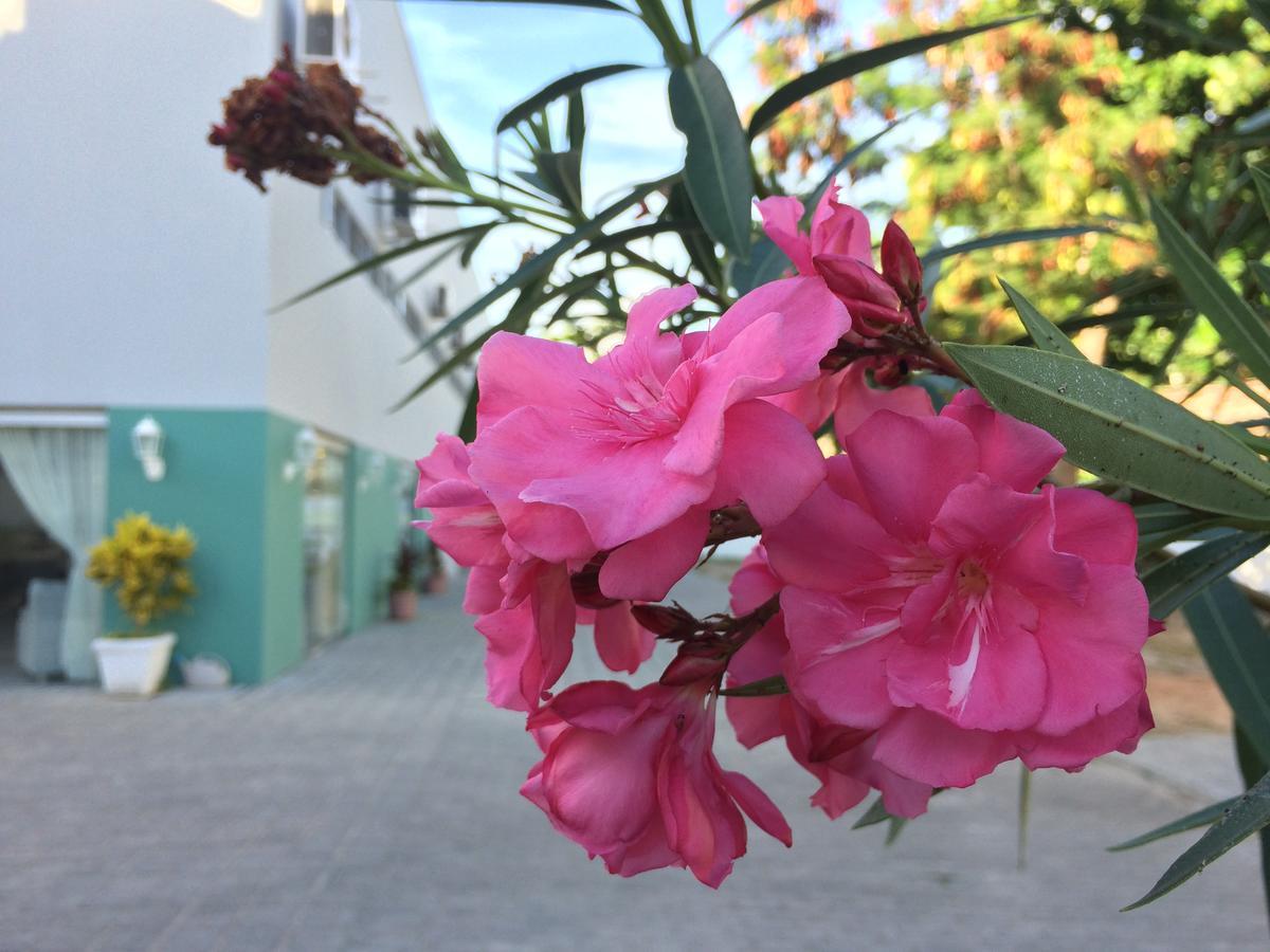 Scenarium Hotel Jaboatao dos Guararapes Zewnętrze zdjęcie